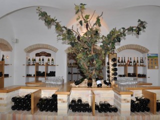 Chateau Wine Gallery